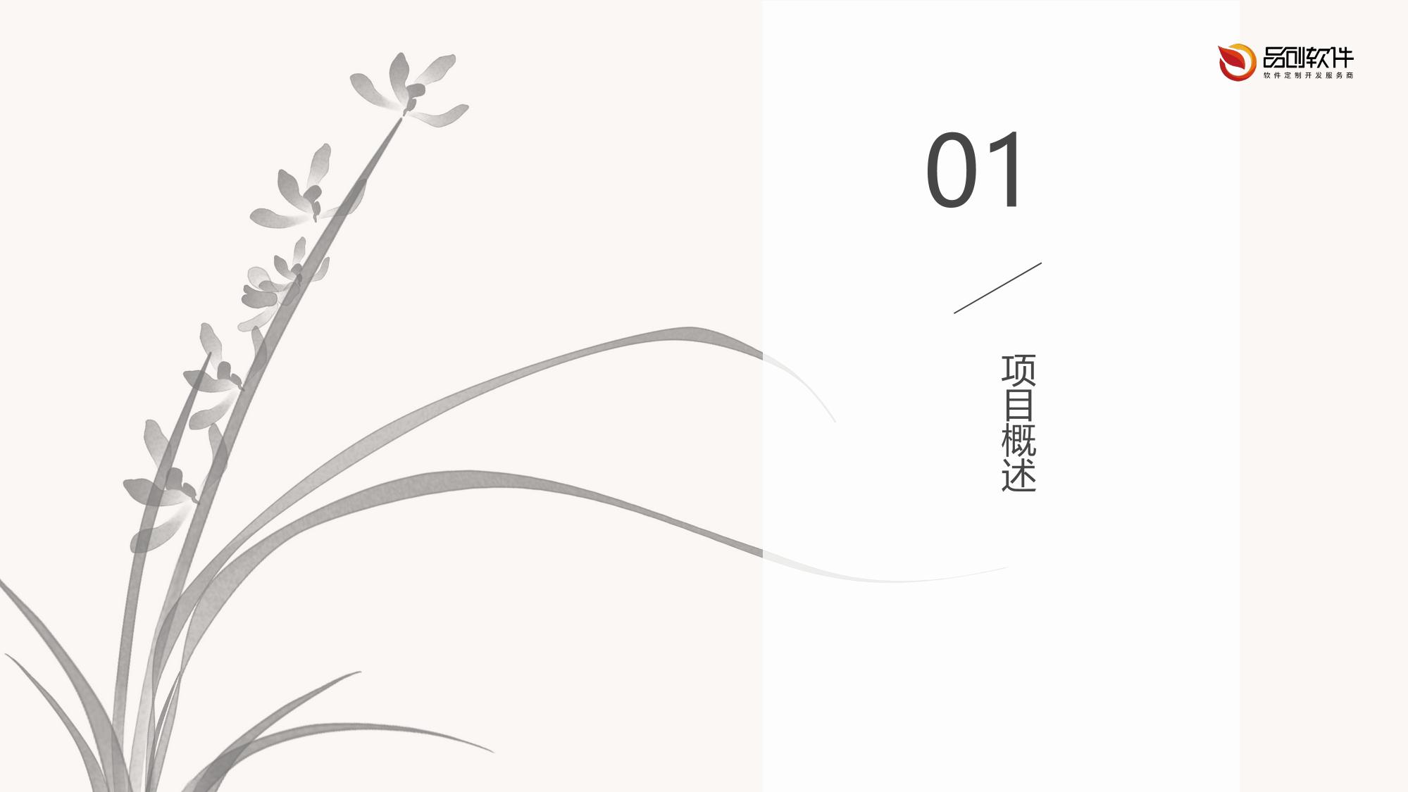 柔性脊柱侧弯矫正背心开发方案